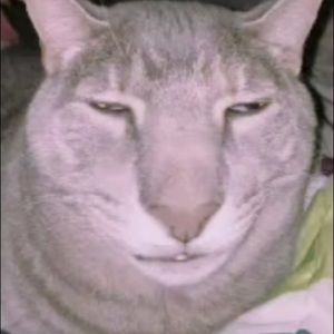 Meet your Posher, Adrian